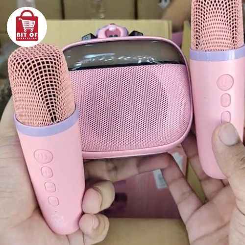ROYCHE SPEAKER SET