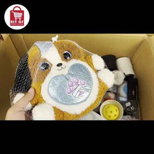 KIDS TOY