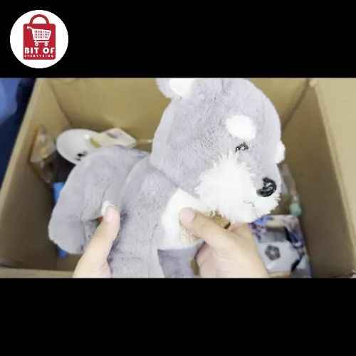 KIDS TOY