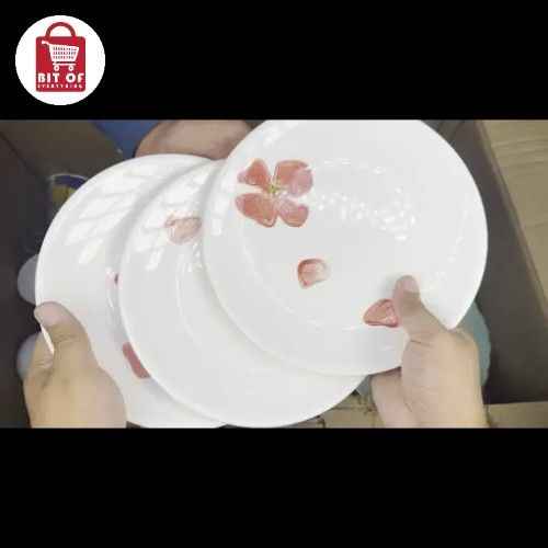 PLATES SET