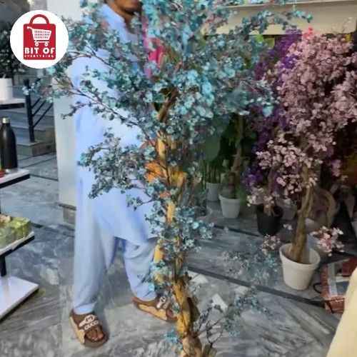PLANT DECORATION
