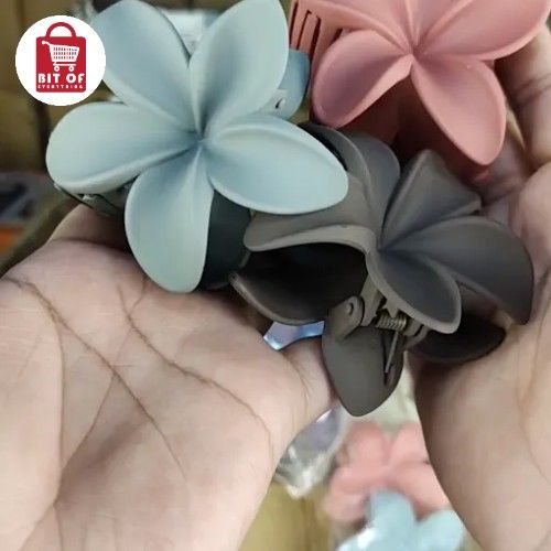 HIAR CATCHER MATTE FINISH PACK OF 12