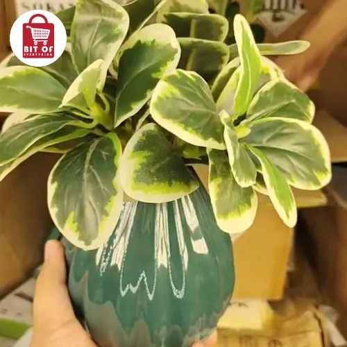 DECORATION FLOWER PIECE