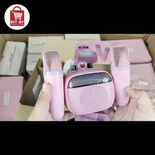 ROYCHE SPEAKER WITH 2 MICS SET