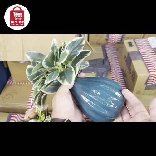 DECORATION FLOWER