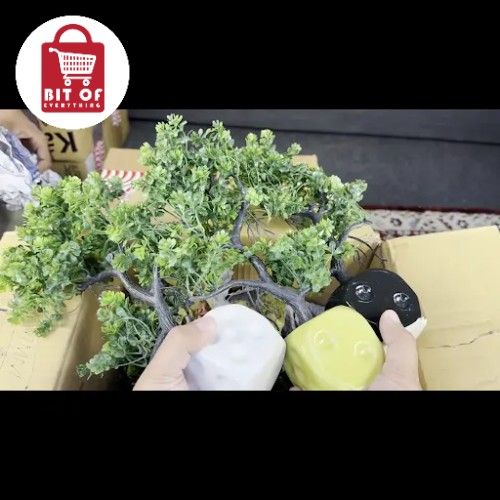 DECORATION PLANT EACH