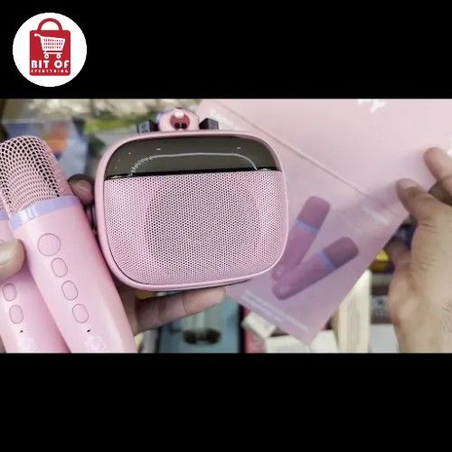 ROYCHE MIC WITH SPEAKER SET