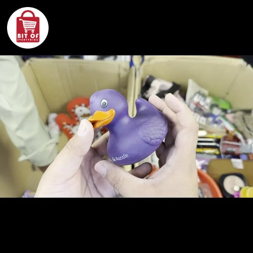 DUCK