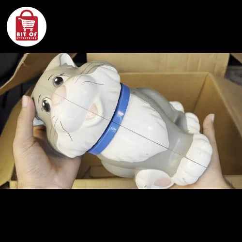 STORAGE AND SOUND CAT