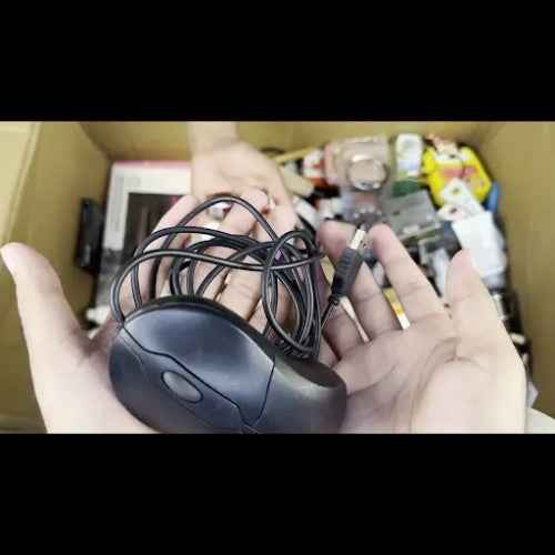 MOUSE