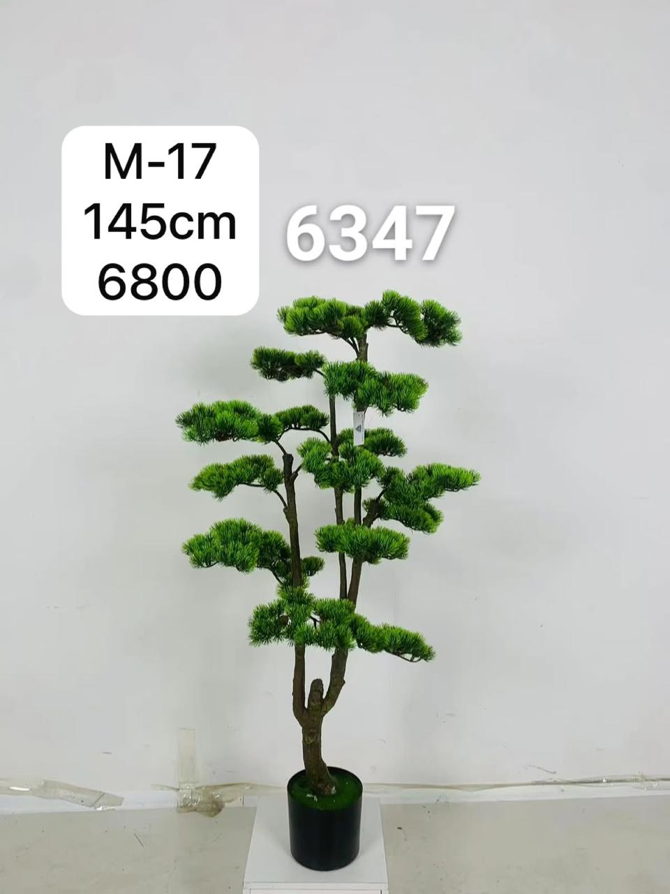DECORATION PLANT
