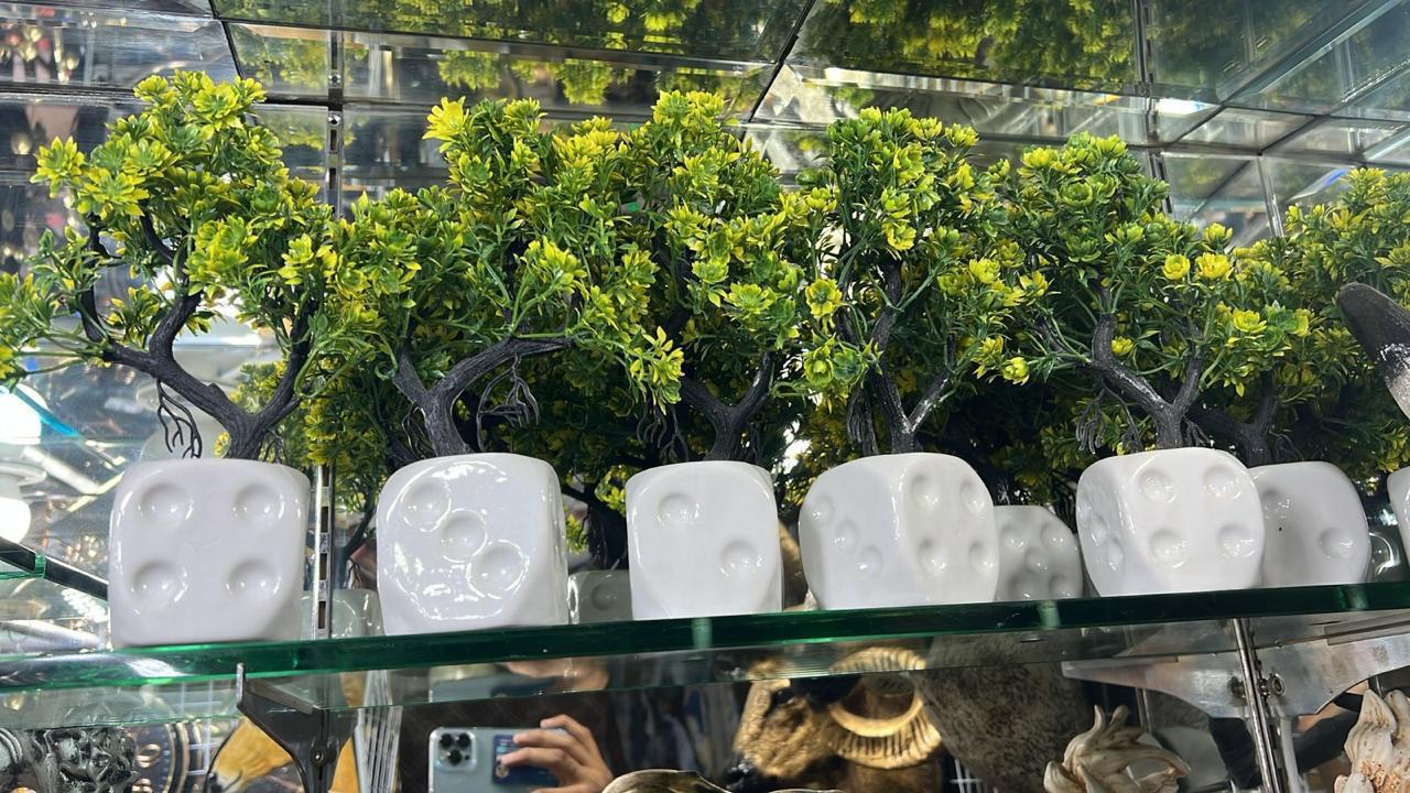 DECORATION PLANT EACH