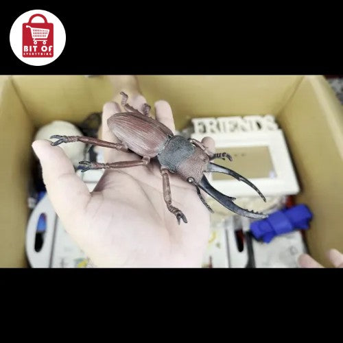 SPIDER