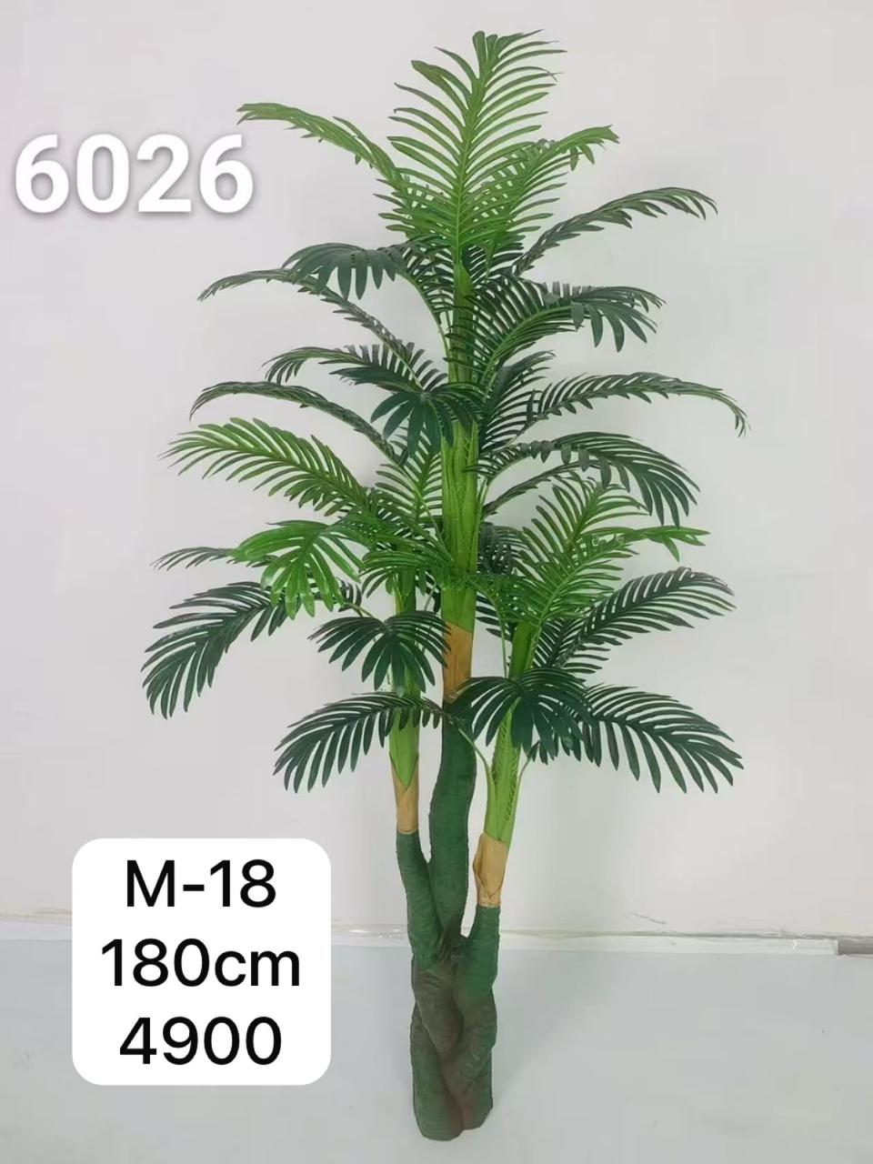 DECORATION PLANT