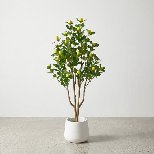 DECORATION PLANT