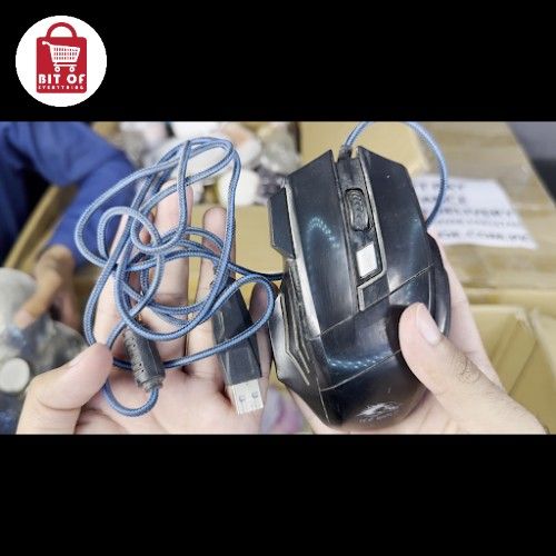 MOUSE