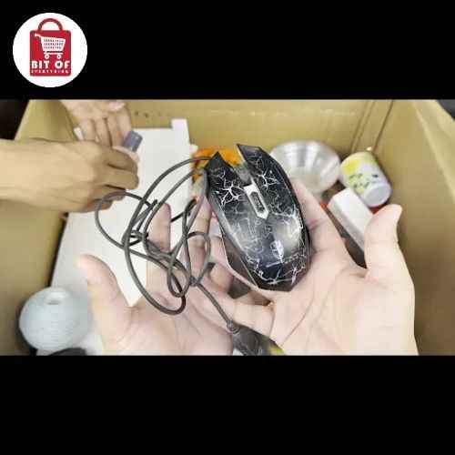 MOUSE