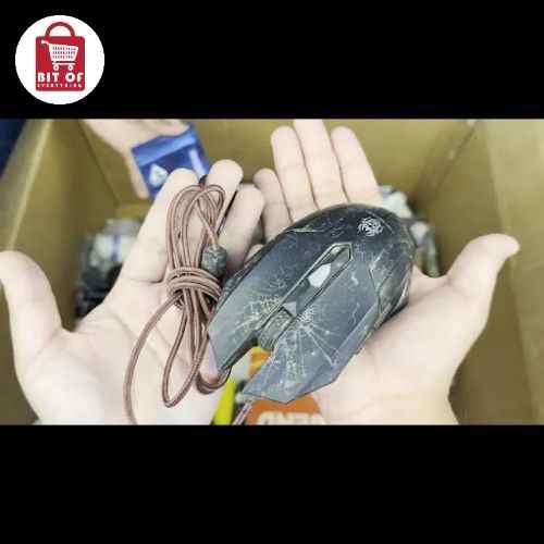 MOUSE