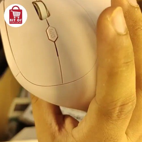 ROYCHE RECHARGABLE MOUSE