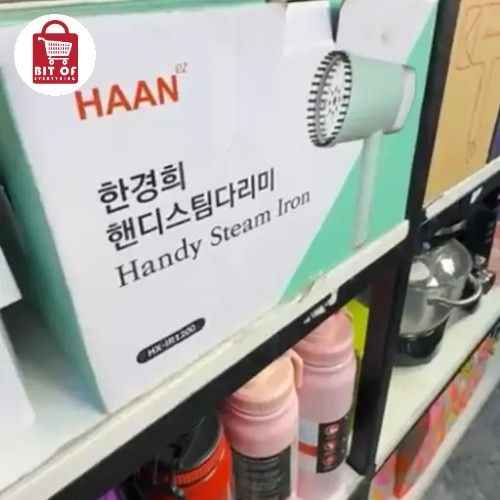 HAAN GARMNET STEAMER