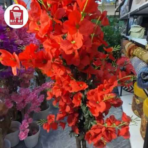 PLANT DECORATION