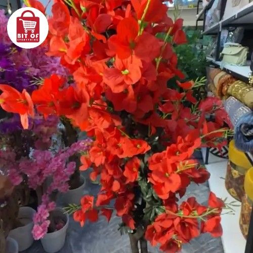 PLANT DECORATION