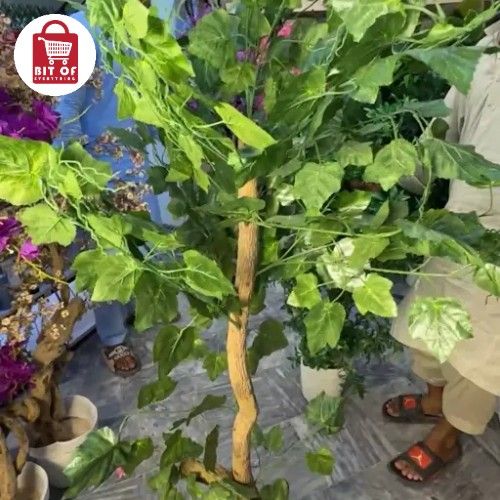PLANT DECORATION