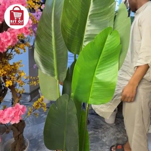PLANT DECORATION