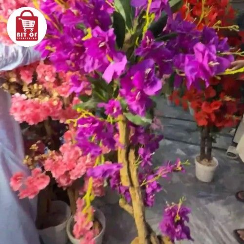 PLANT DECORATION
