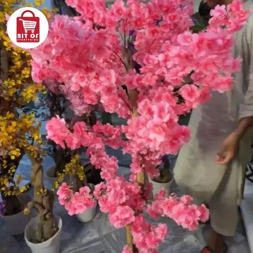 PLANT DECORATION