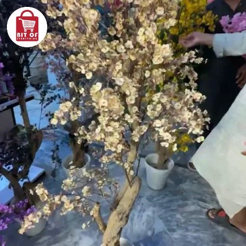 PLANT DECORATION
