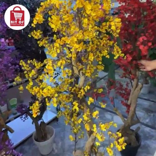 PLANT DECORATION