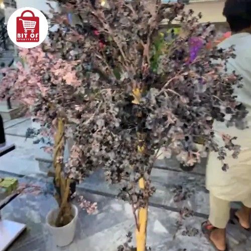 PLANT DECORATION