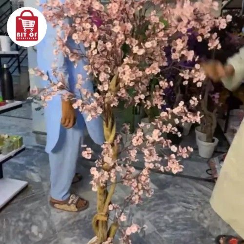 PLANT DECORATION