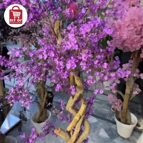 PLANT DECORATION