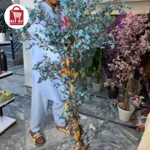 PLANT DECORATION