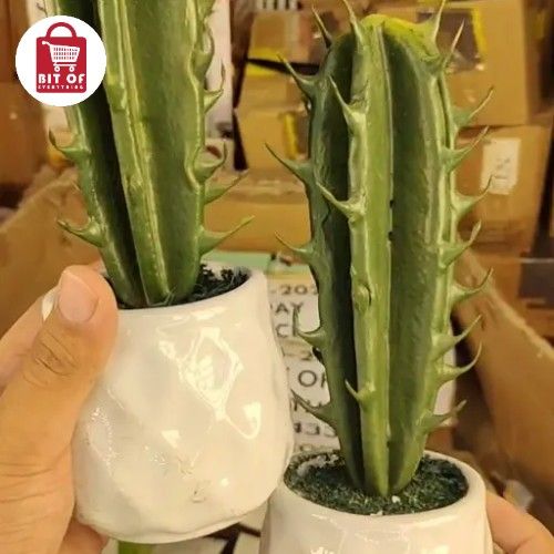 CACTUS PLANT DECORATION 1-PCS