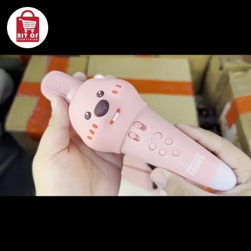 ROYCHE MIC WITH BUILT IN SPEAKER AND VOICE CHANGER
