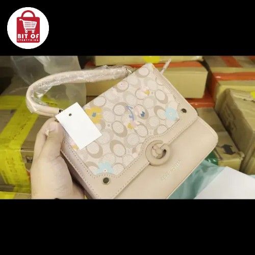 LV LADIES BAG