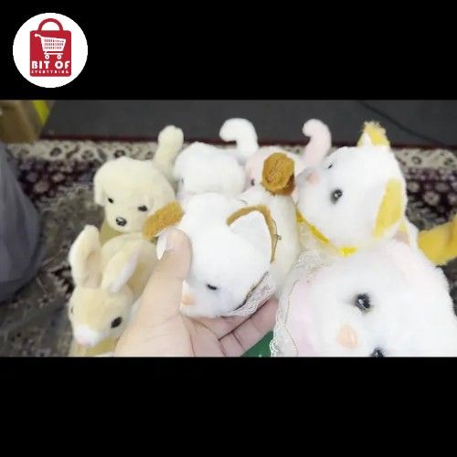 CAT TOY EACH