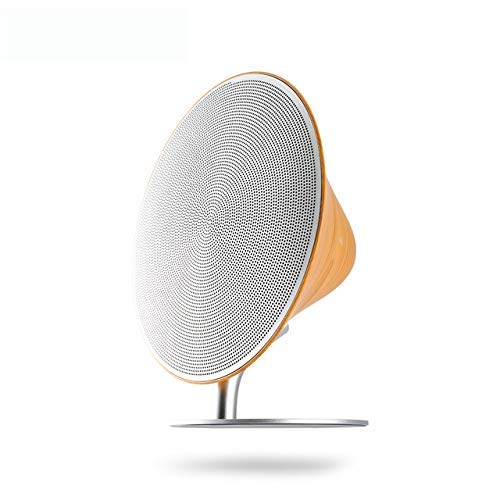 LUXERY SPEAKER DEAL OF 2