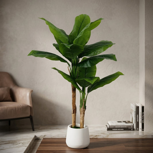 DECORATION PLANT