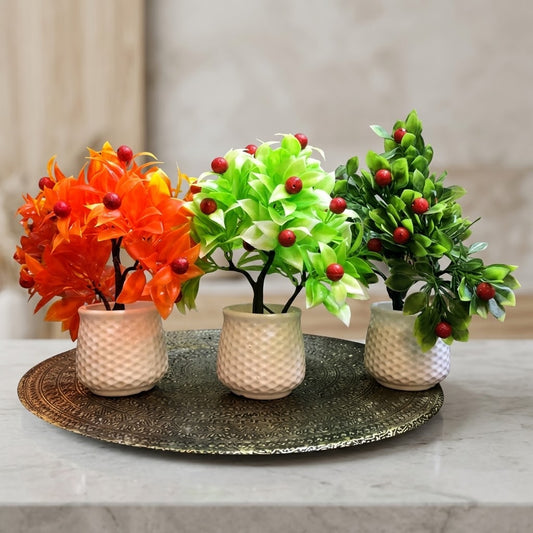 DECORATION PLANT (EACH)