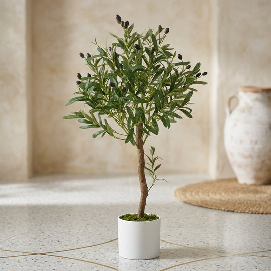 DECORATION PLANT