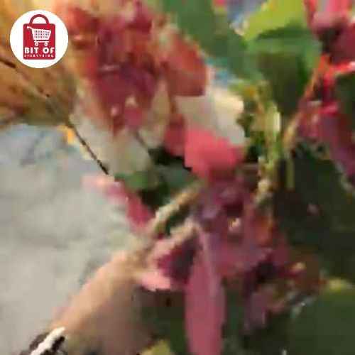 DECORATION FLOWER SET