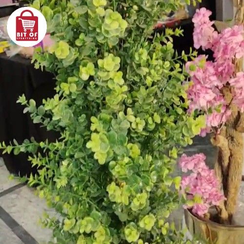 DECORATION GREENR