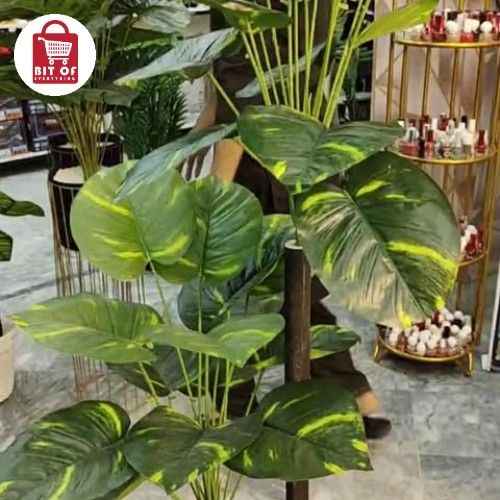 DECORATION PLANT
