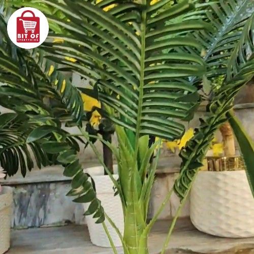 DECORATION PLANT