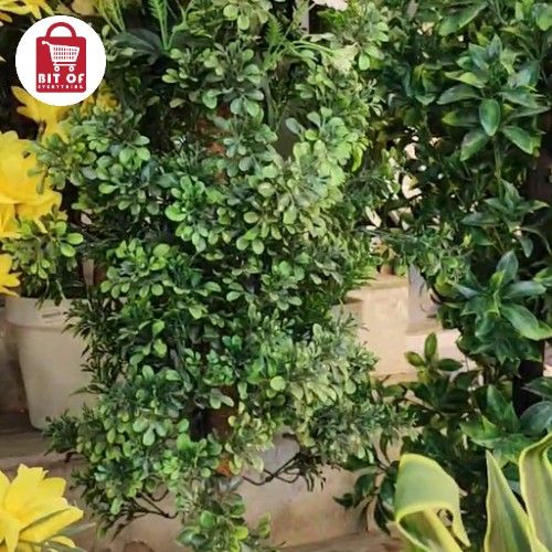 DECORATION PLANT