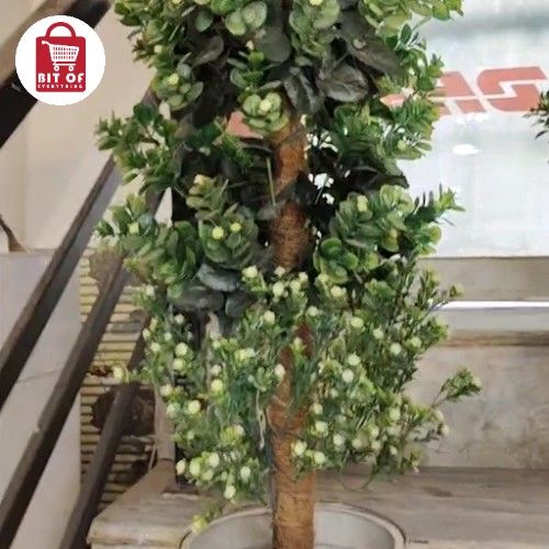 DECORATION PLANT